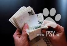 Inzercia psov: rychlá legitimní soukromá nebankovní půjčka