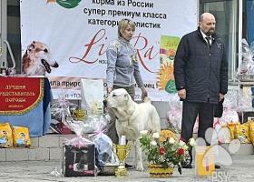 Stredoázijský ovčiak  šteniatka s PP RUSKO