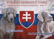 Inzercia psov: Slovenský hrubosrstý s...